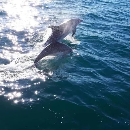 Mobil Climatise Chez Mickael Et Laetitia 营地