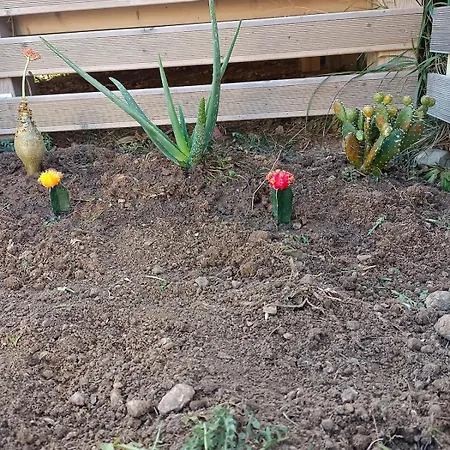 Mobil Climatisé Chez Mickaël Et Laëtitia * Narbona